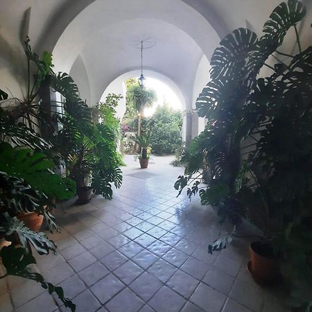 La Casa Delle Camelie Hotel Meta Kültér fotó