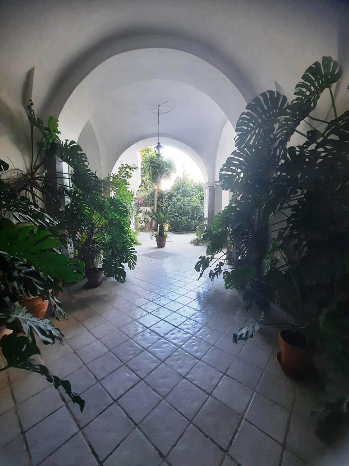 La Casa Delle Camelie Hotel Meta Kültér fotó